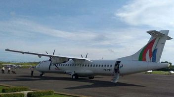 عند دخولها القطاع التجاري ، حلقت Pelita Air أولا إلى بالي اليوم