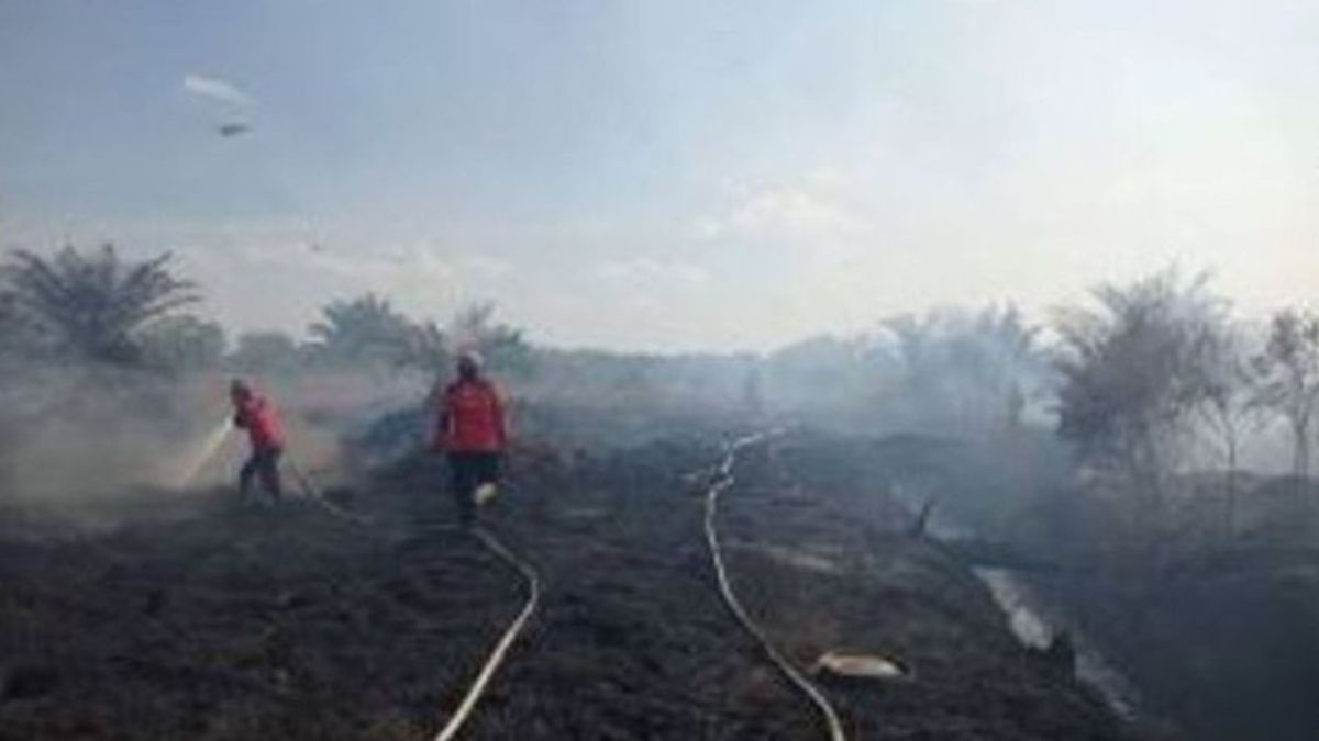 Joint Officers Do Forest And Land Fire Cooling In Inhil And Inhu Riau