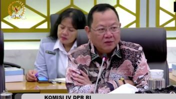 Commission IV Of The DPR Asks KKP Not To Be Late In Issuing Certificates Even Though There Is A Transfer To The Quarantine Agency