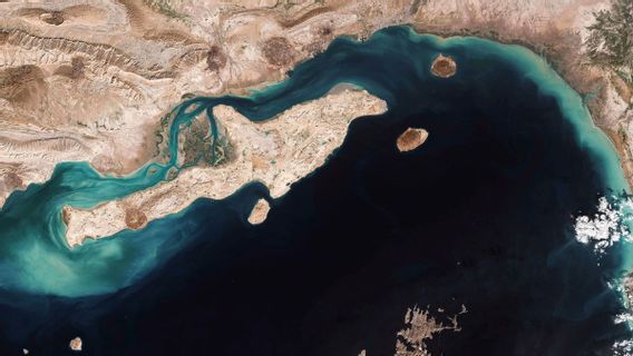 石油は103ドルに達し、ホルムズは価格を混乱させ続けている