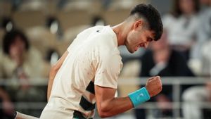 Alcaraz Overthrow Shelton And Return To French Quarter-Finals Open