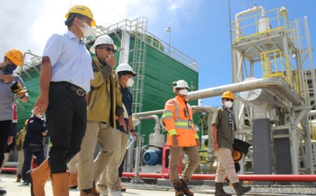 Pemerintah Bergerak Cepat Amankan Pasokan Energi Hijau, Peran PLTP Dieng Dioptimalkan