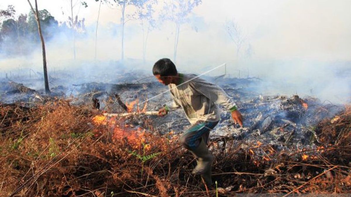 BMKG：亚齐开始旱季，谨防森林和陆地火灾