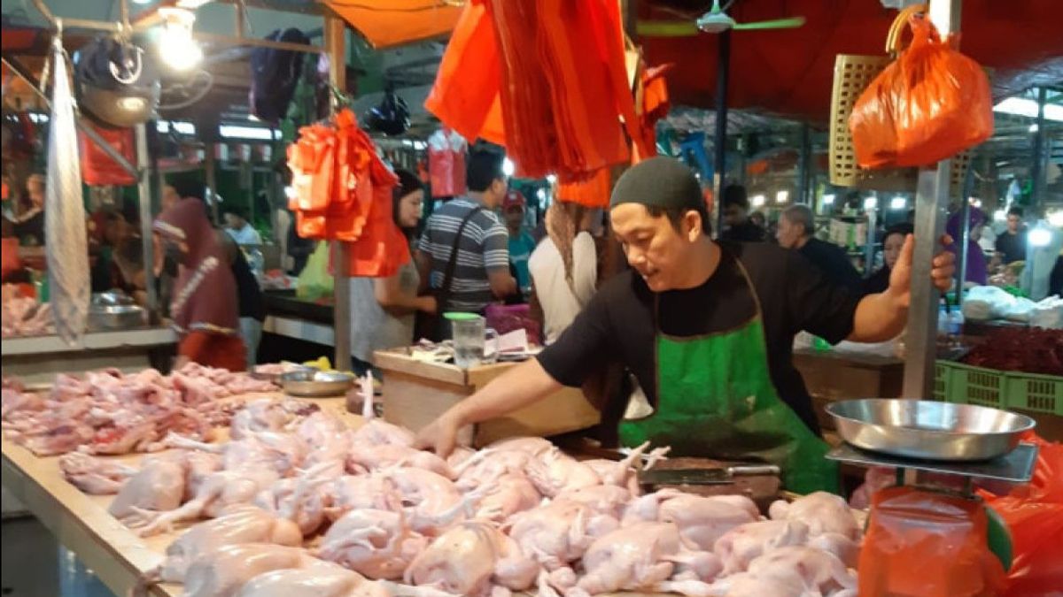 Harga Daging Ayam, Telur hingga Minyak Goreng Kompak Naik