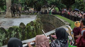 Libur Lebaran, Taman Warga Satwa Ragunan Catat 472 Ribu Pengunjung