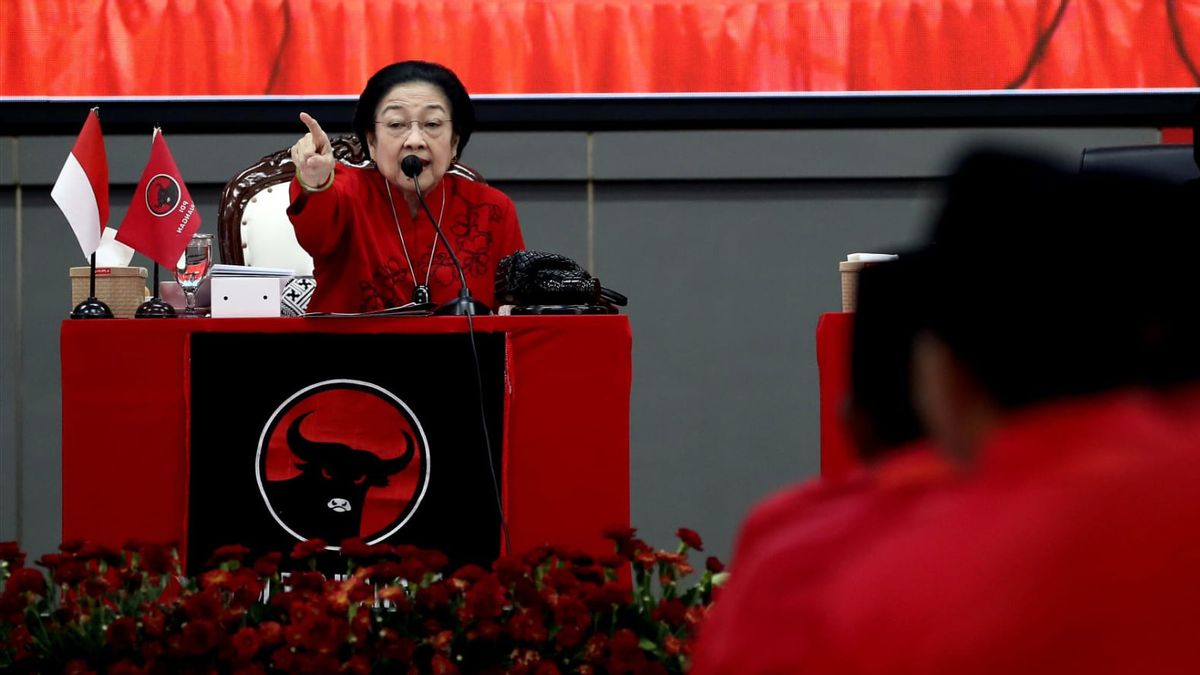 Megawati Prihatin Airlangga从Ketum Golkar退出,担心民主的命运