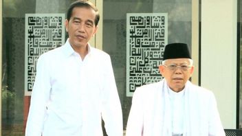 BMP Papua Apresiasi Kinerja Jokowi-Ma'ruf: Pembangunan Infrastruktur Mulai Dirasakan Kembali