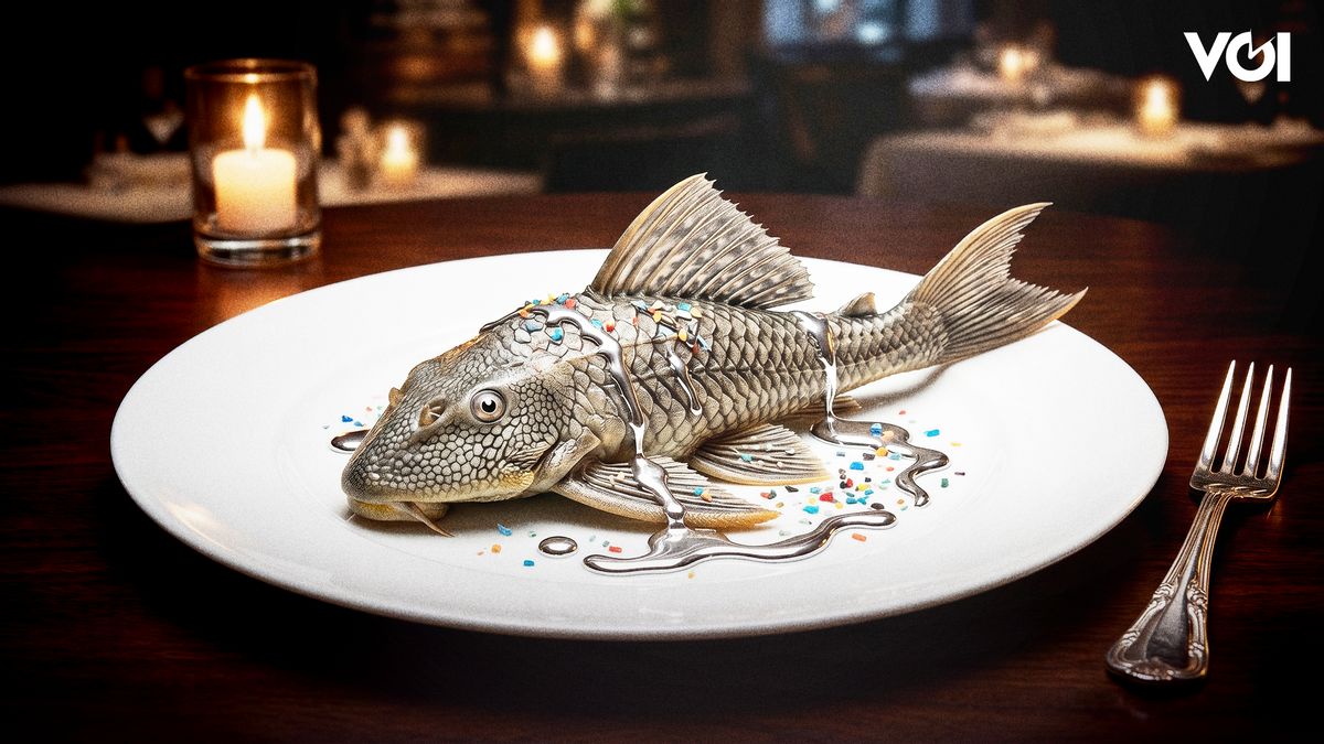 "War" of the Sapu-sapu Fish and Evidence-Based River Policy