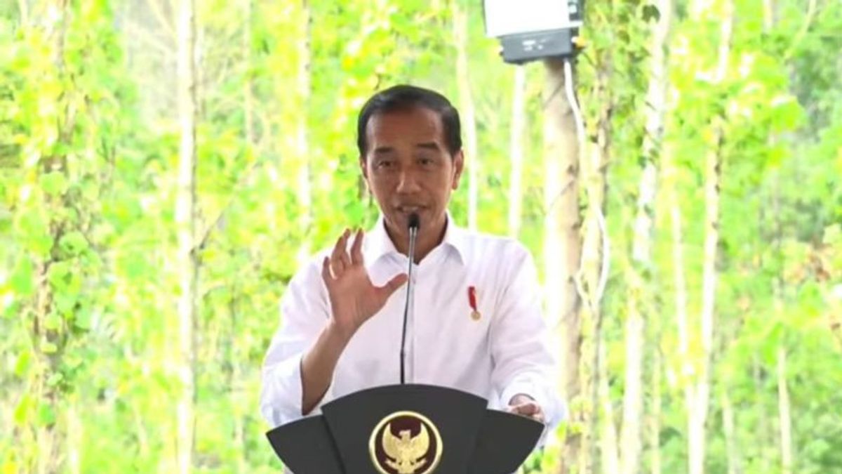 À Kaltim septembre, Jokowi sempatkan a bureau à IKN