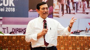 Hasil Rapat Perdana Luhut dengan KKP: Tak Ada yang Salah dari Eskpor Benih Lobster