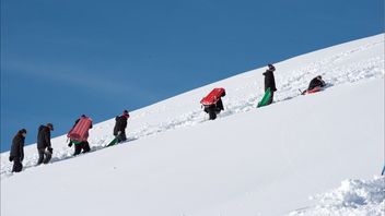 スイス警察、アルプス山脈のバービエリゾートで数十人の麻薬密売人を逮捕