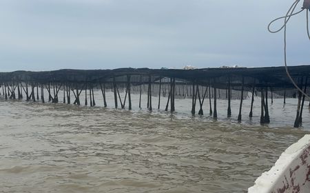 Instruksi Presiden RI Prabowo Pagar Laut Tangerang Harus Segera Dibongkar