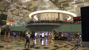 Kalahkan Petahana Qatar, Bandara Changi Singapura Terbaik di Dunia Tahun 2023 Versi Skytrax