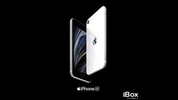 Harga iPhone SE 2020 Dijual Rp8 Jutaan, Dapat Apa Saja