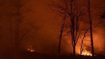 强风使美国科罗拉多州的森林火灾广泛，居民疏散