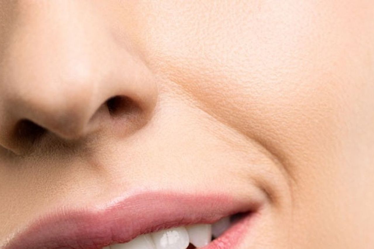 The Function Of The Nose Lendir Sheet In The Human Smell Organ