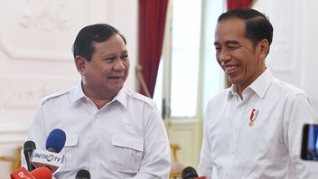 PDIP Diduga Berniat Singkirkan Pengaruh Jokowi di Pemerintahan Prabowo