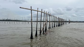 JRP Bantah Pihaknya yang Bertanggung Jawab Atas Pembuatan Pagar Laut Tangerang