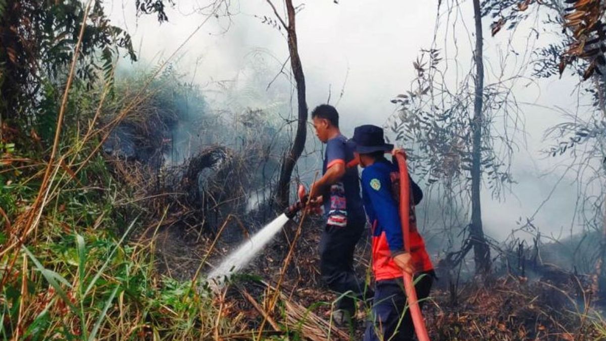 Butuh Penanganan Cepat, BMKG Balikpapan Deteksi 20 Titik Panas di Kaltim