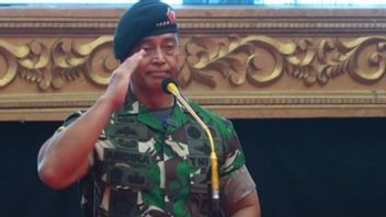 TNI Commander Explains Changes In Problem Handling Strategy In Papua