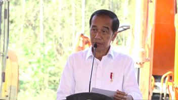 Jokowi: What Kaesang Has Decided Is His Responsibility