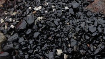 Staff Of The Minister Of Energy And Mineral Resources Calls Coal Demand From Asian Countries Still High