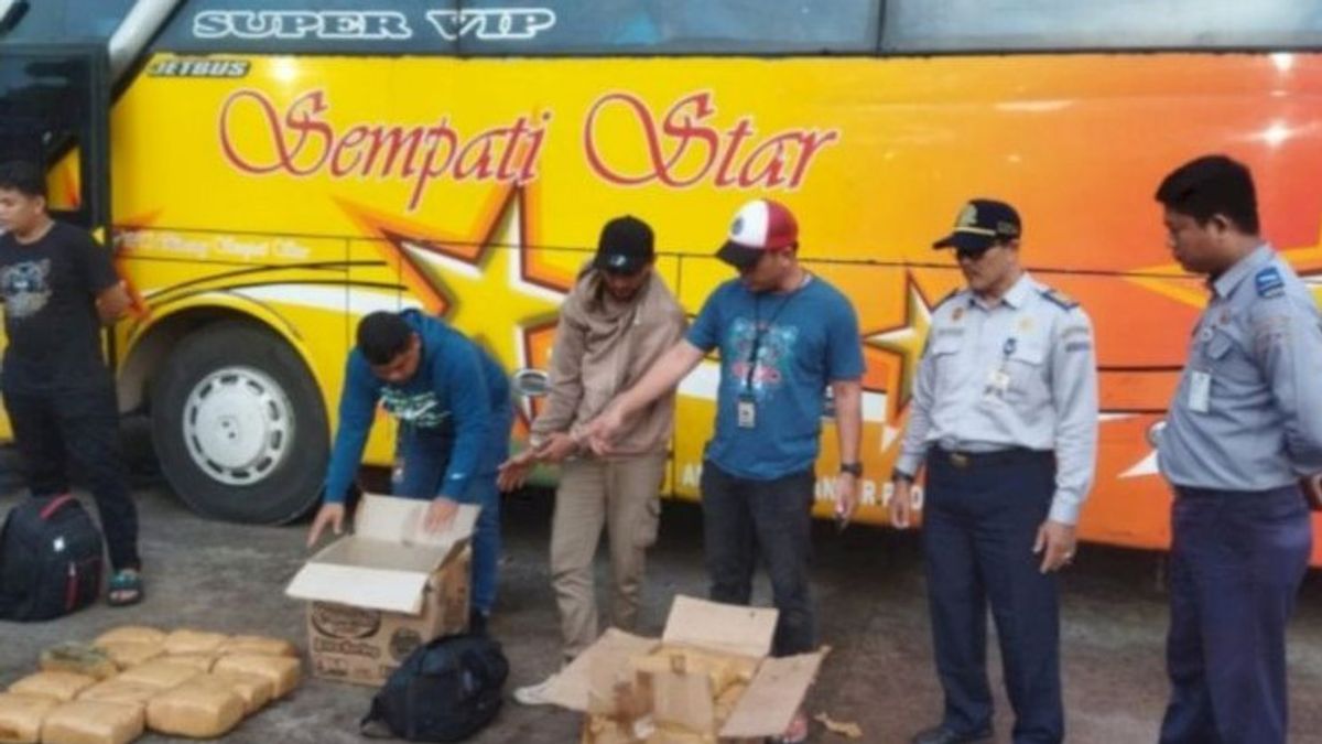 Police Thwart Smuggling 30 Kg Of Marijuana From Palembang To Bandung