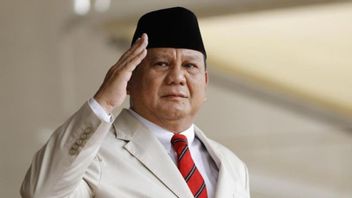 Tergabung dalam Pemerintahan sebagai Menhan, Refly Harun: Harapannya Prabowo Beri Kontribusi Signifikan