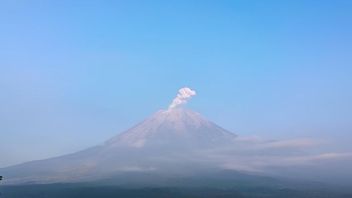 Méfiez-vous! Jeudi matin, le mont Semeru est de retour depuis le volcanik 1 km