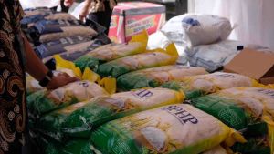Harga Beras Kompak Naik di 200 Daerah, Jenis Medium Tembus hingga Rp50.000 per Kg