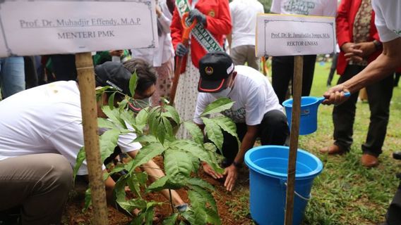 Coordinating Minister For Human Development And Culture Intensifies The Planting Of 10 Million Trees For Disaster Mitigation