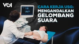 Cara Kerja USG: Mengandalkan Gelombang Suara