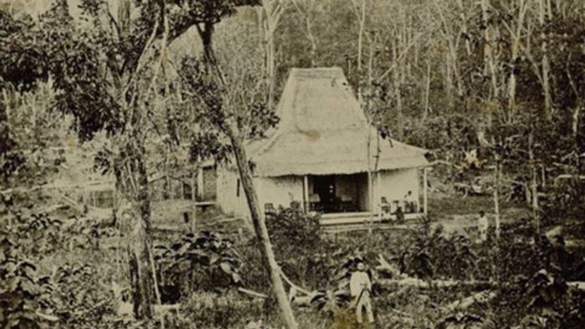 Daendels yang Galak Usir Pembalak Hutan