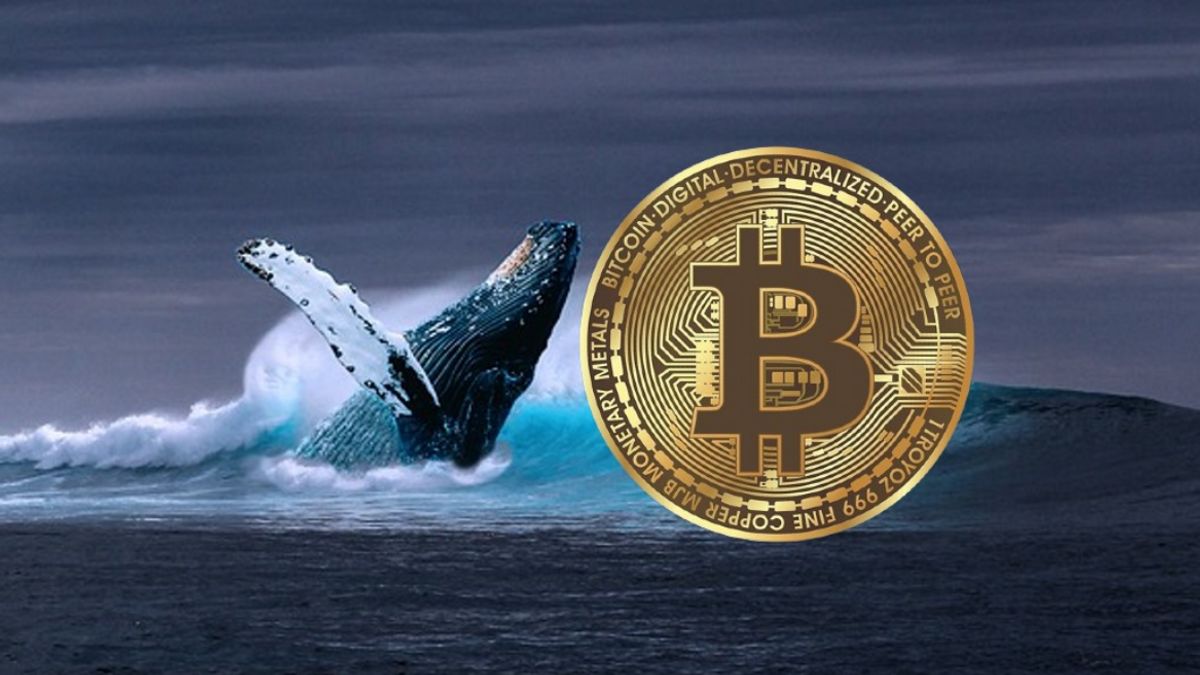 Lama Tertidur, Whale Bitcoin Mulai Bangkit Pindahkan Ribuan BTC ke Wallet Baru