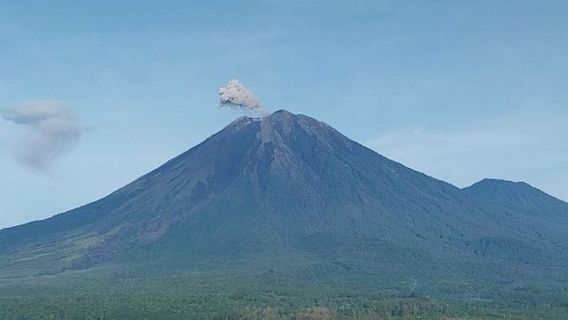 Gunung Semeru Kembali Erupsi, Semburkan Abu Hingga Ketinggian 1 Km