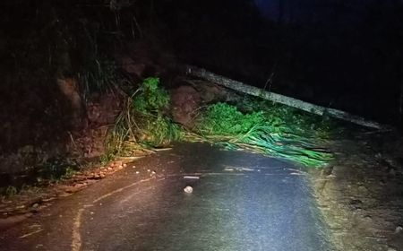 Tanah Longsor di Banjarnegara Hilangkan Nyawa Seorang Warga