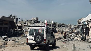 Israel Larang Badan Amal Dokter Tanpa Batas (MSF) Beroperasi di Jalur Gaza