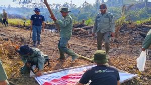 Habitat Gajah Sumatera Diselamatkan, Kemenhut Kuasai Kembali 4.000 Hektare Hutan Seblat
