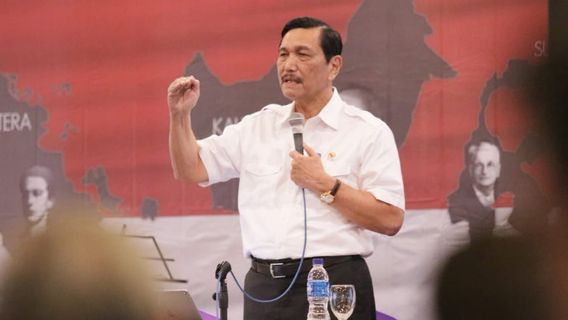 Luhut: Bio Farma dan Pfizer Bakal Kerja Sama Bikin Vaksin COVID-19