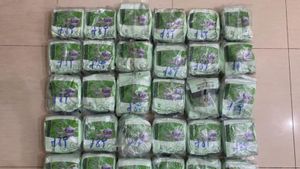 Upah Rp5 Juta per Kilogram, 2 Kurir Sabu 30 Kg Dibekuk di Dumai
