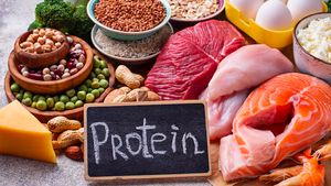 Diet Tinggi Protein Aman untuk Ginjal? Ini Penjelasannya
