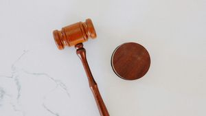 When Can Discretion Be Done By Government Officials?