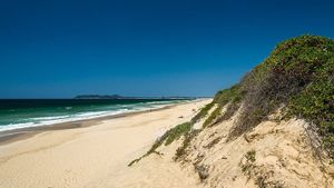 Pantai Khusus Telanjang Australia yang Populer Kemungkinan Ditutup, Ini Alasan Pemerintah Negara Bagian