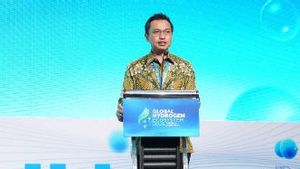 PLN EPI Integrasikan Logistik Batu Bara, Gas dan Bioenergi untuk Pembangkit