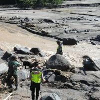    SAR Terjunkan Anjing Pelacak Cari Korban Lahar Hujan Merapi