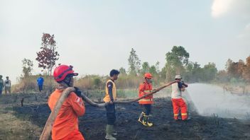OKU南スマトラの10ヘクタールの土地を焦がす森林と土地の火災