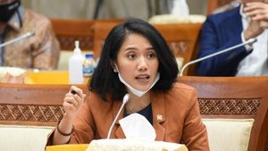 Profil Puteri Komarudin yang Diisukan Gantikan Dito Ariotedjo sebagai Menpora