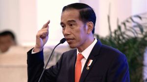 Jokowi Minta Pengembangan Sektor Pangan Gunakan Cara-Cara Inovatif