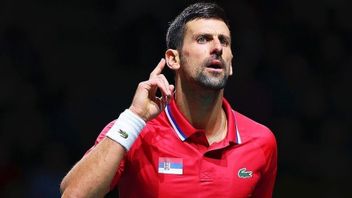 诺瓦克·德约科维奇(Novak Djokovic)被认为难以实现金大满贯的梦想