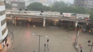 Hong Kong Dilanda Hujan Terlebat dalam 140 Tahun Terakhir: Sebabkan Banjir, 83 Orang Terluka 
